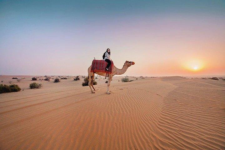 1695124616-desert-safari-dubai-the-dune-bashing.jpg